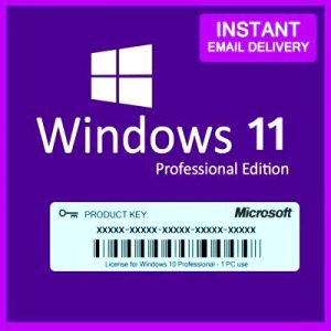 Windows 11 Pro Instant Delivery